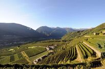 Sommerregion
