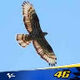 Avatar von Eagle71