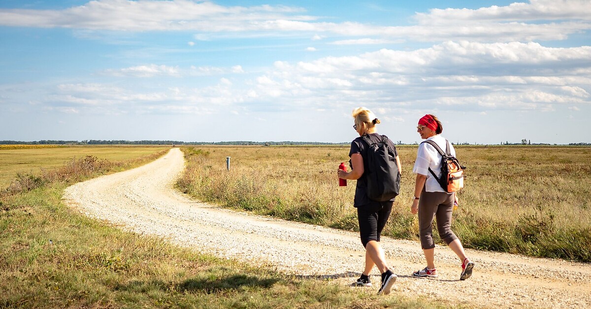 Bernstein Trail Ostroute Etappe Neusiedl Am See Frauenkirchen