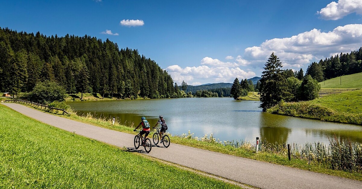 TeichRunde BERGFEX Mountainbike Tour Steiermark