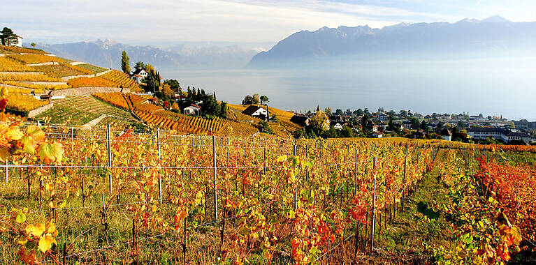 Lausanne Region