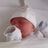 Avatar de Bastiaan Struijk