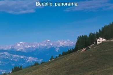 Bedollo
