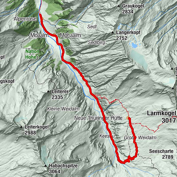 Mahdlalm Alpenrose Moaalm Neue Th Ringer H Tte Bergfex