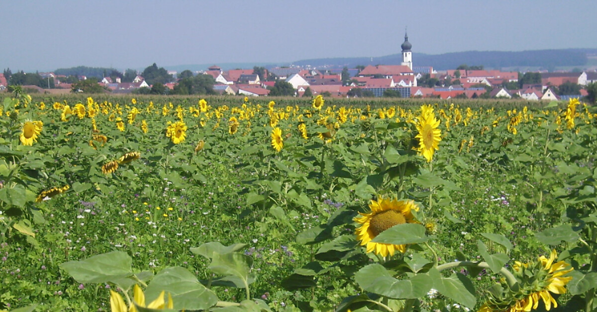 Touren BERGFEX Dittenheim Dittenheim
