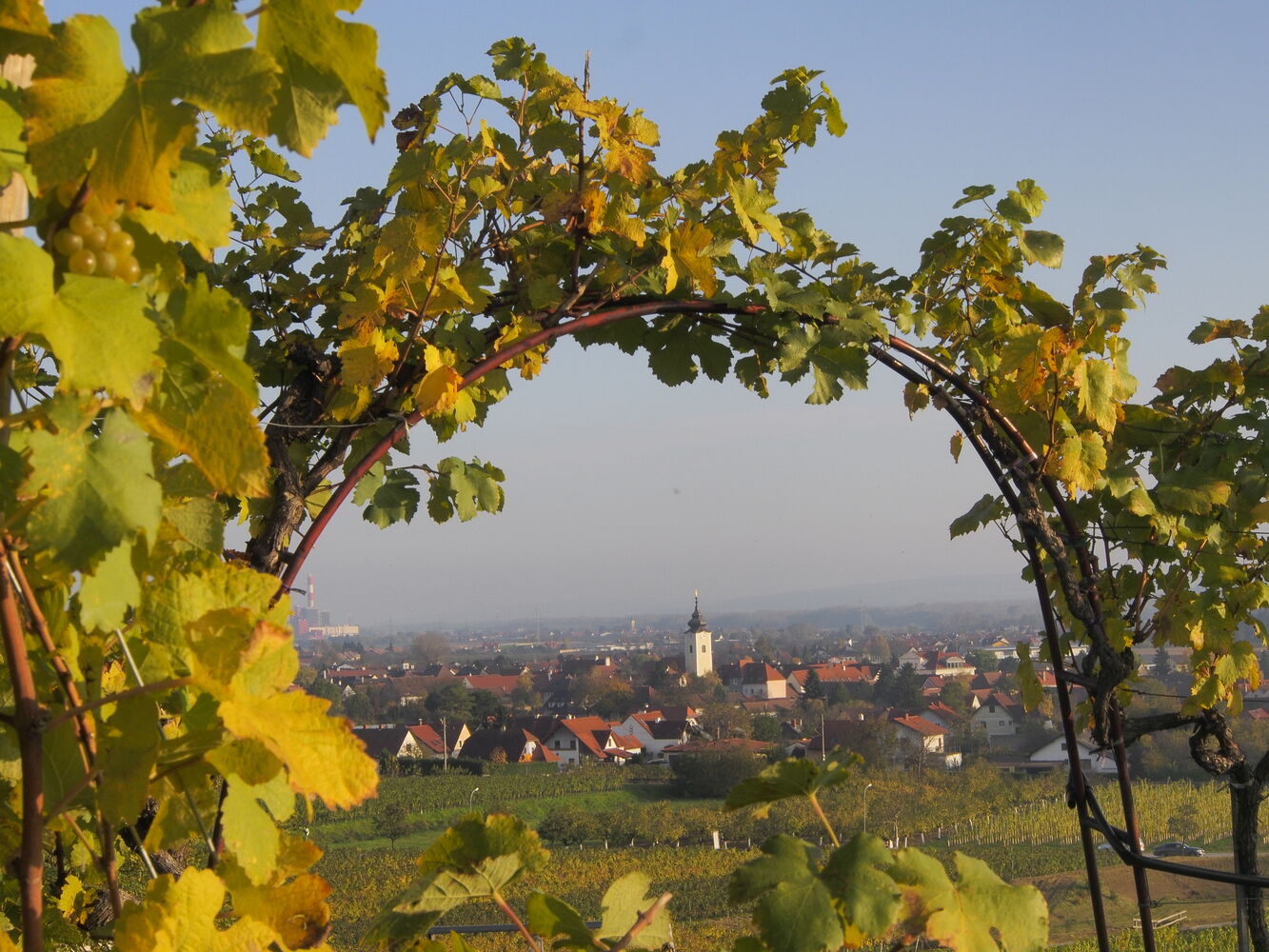 Rohrendorf bei Krems