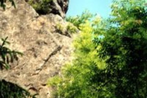 Offner Kletterfelsen