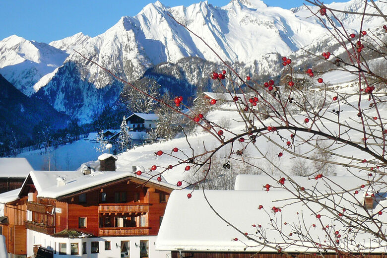 Der Ortnerhof - Hotel & Apartments