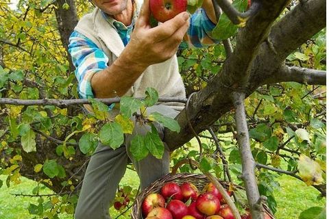 Bio-Höfe-Tour von Skomarje bis Loče