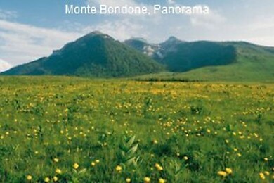 Monte Bondone