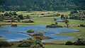 Letní region