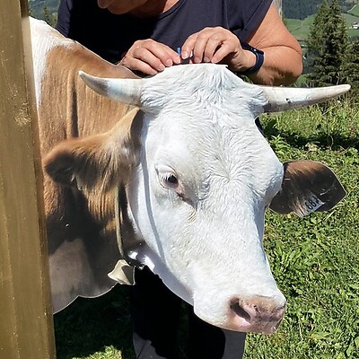 Avatar z Helene Steingötter