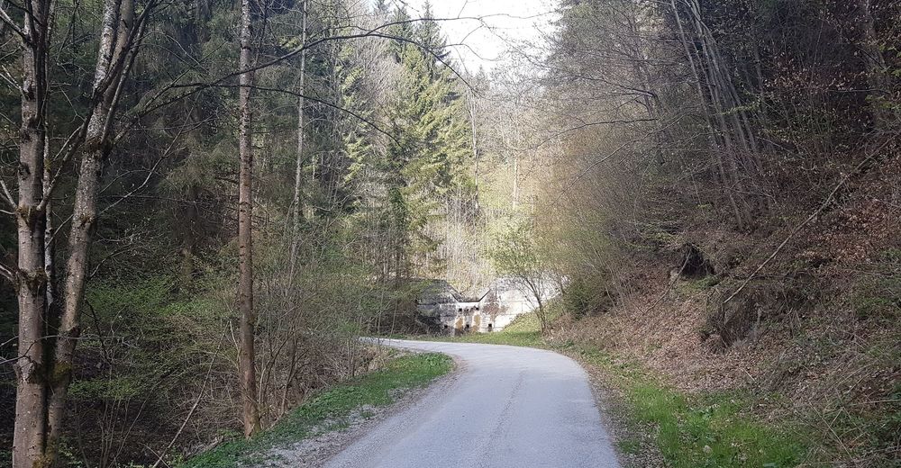 Suchergebnisse fr Immobilien im Bezirk Bruck-Mrzzuschlag (Steiermark), wie Ottokar-Kernstock-Strae 1-7 und Fraunedergasse 22-28 in Bruck an der Mur, vorteilhaften Raumaufteilung eignet sich die Wohnung ideal fr Singles und Immobilien im Bezirk Bruck-Mrzzuschlag (Steiermark) | IMMMO