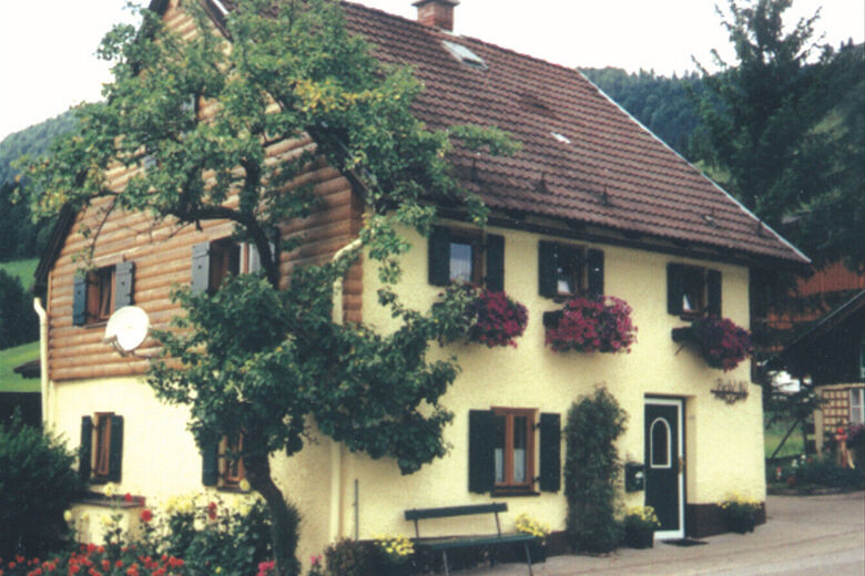 Romantikhaus zum Dachsteinblick