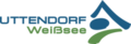 Logotip Ice4Life in Uttendorf 2018