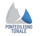 Логотип Ponte di Legno - Temù - Adamello Ski