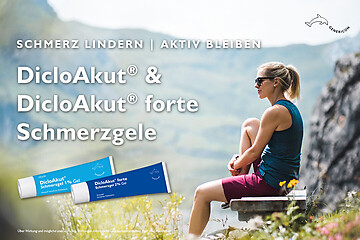 Schnelle Hilfe für Gipfelstürmer