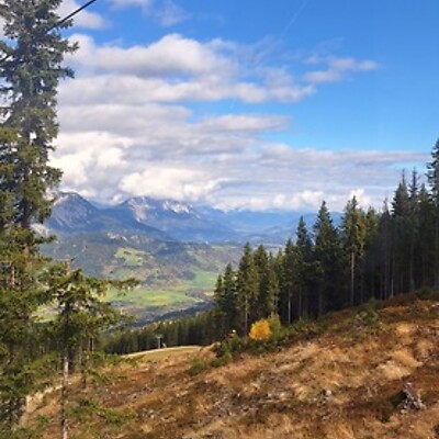 Avatar von Silke Feifel