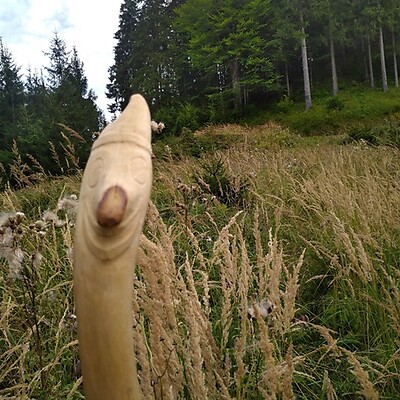 Avatar fra CAMINALEX