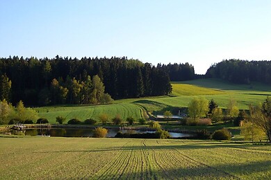 Gastern