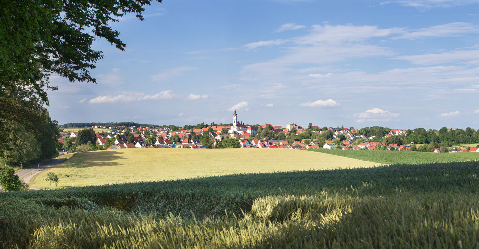 Altomünster