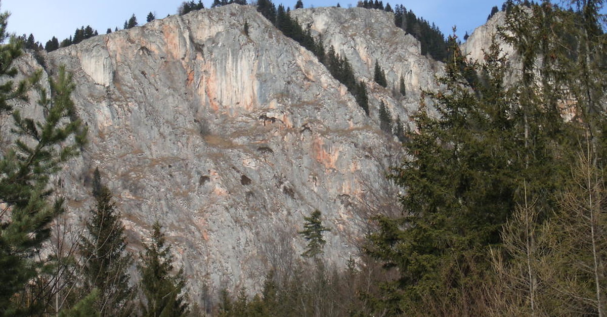 Hiking Tour: Rote Wand- Steinbockparadies in Styria