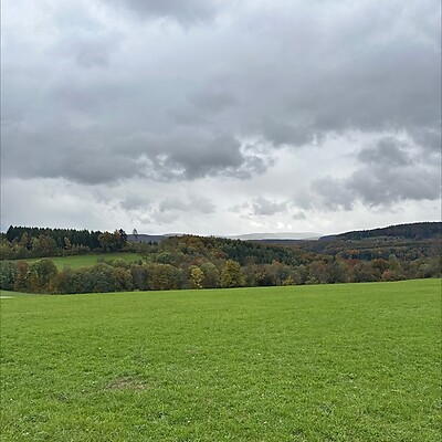 Avatar a Barbara Hotz