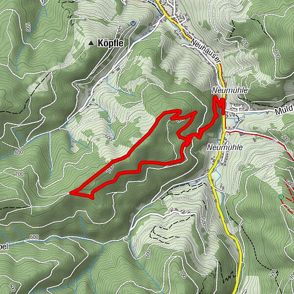 Mühlefelsenpfad Wildnispfad Mühlefelsen Bannwald BERGFEX