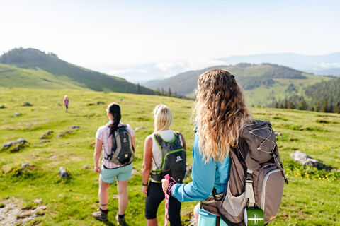 Geführte Wanderungen