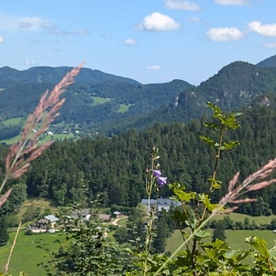 Avatar de Reiffuernurlaub