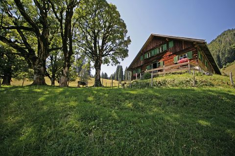 Falkenalpe