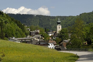 Reinsberg