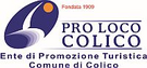Логотип Colico