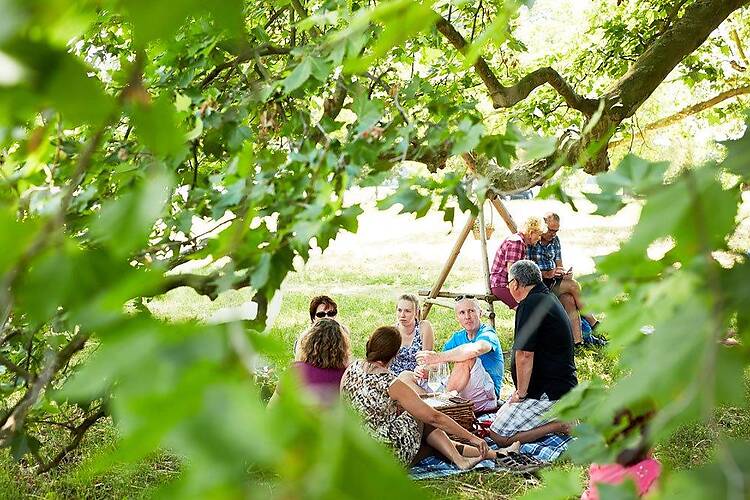 Kamptal - Wagram - Tullner Donauraum