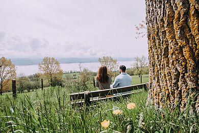 Region Murtensee / Freiburg