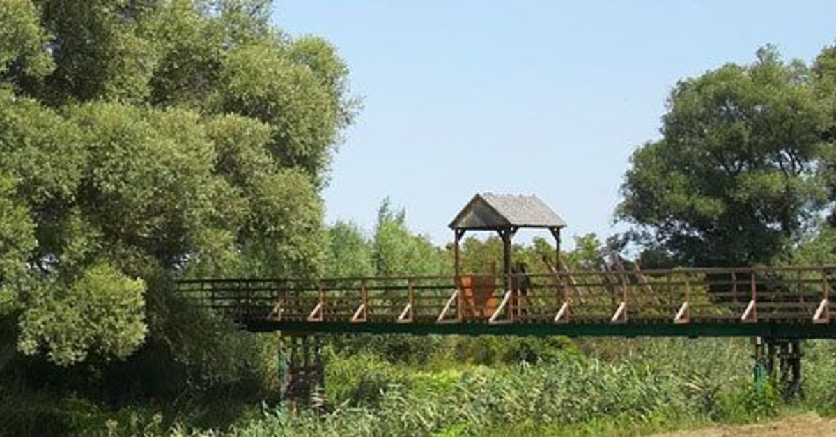 BERGFEXSehenswürdigkeiten Brücke von Andau Andau Ausflugsziel