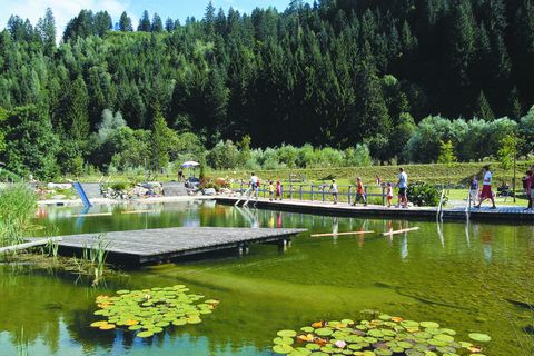 Naturschwimmbad und Waldbad Mauthen