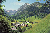 Schwendi