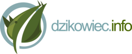 Логотип Dzikowiec