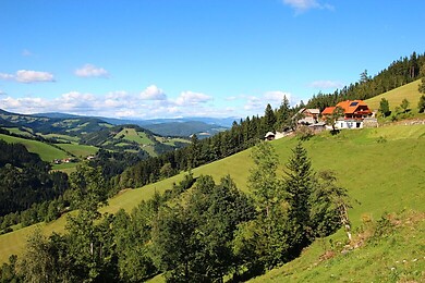 Birkfeld