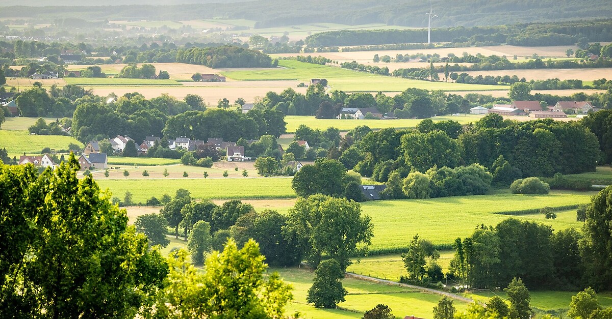 Borgholzhausen Halle - Auf Den Hermannshöhen - BERGFEX - Wanderung ...