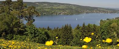 Thurgau Bodensee