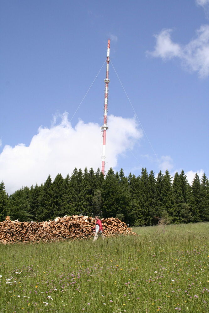 Lichtenberg
