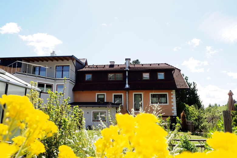 Apartment Goaßa