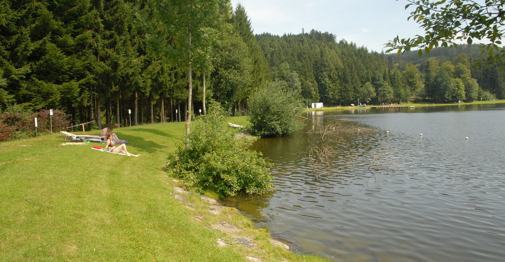 BERGFEXBadesee Badesee Pramet angelegter Badesee See Baden