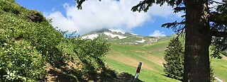 Lungern - Schönbüel