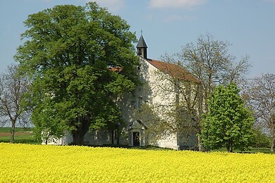 Baumgarten