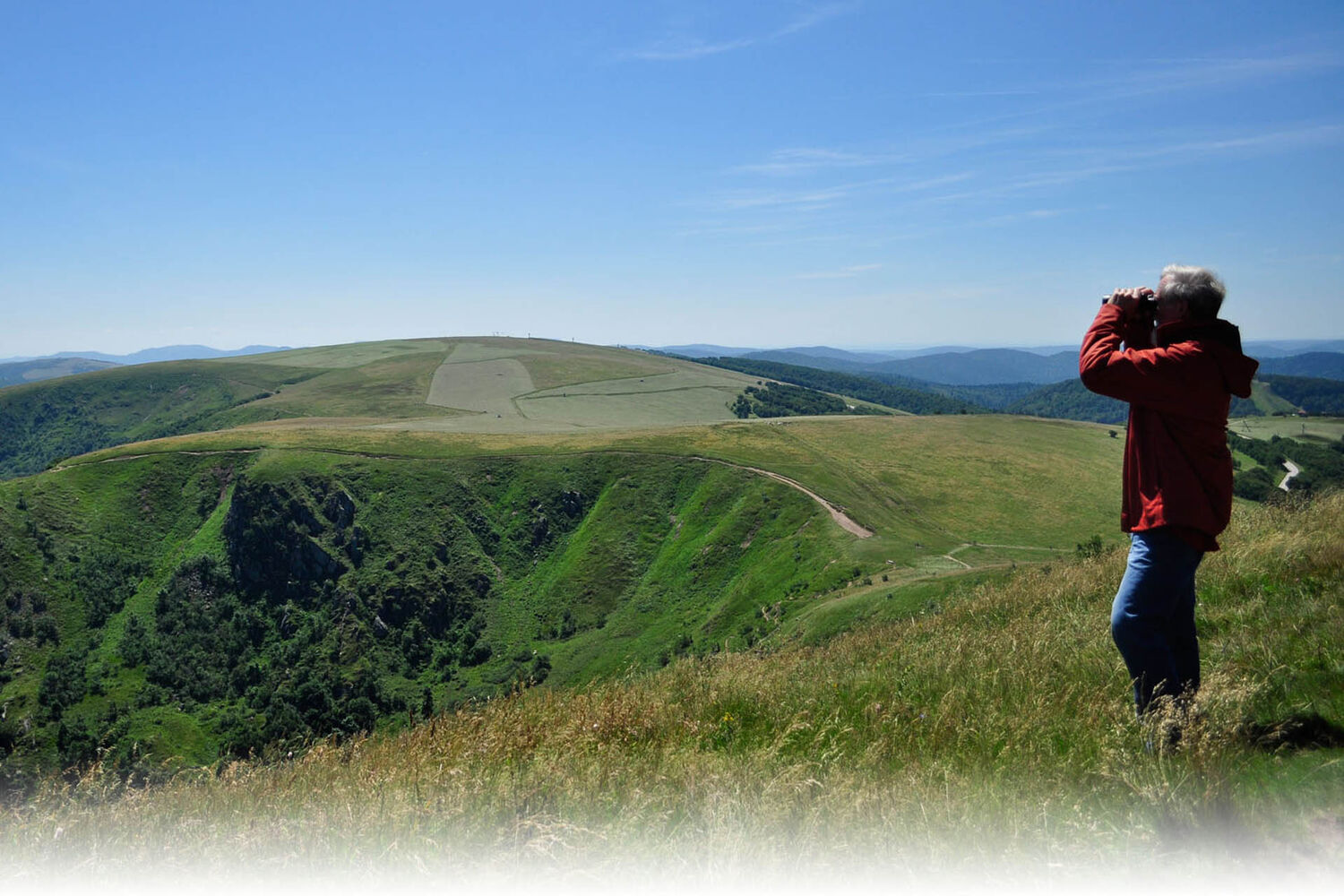 Vosges