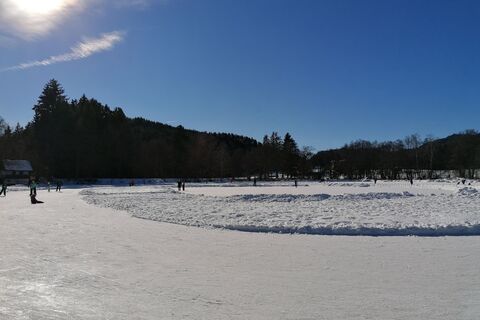 Eislaufen in Feldkirchen
