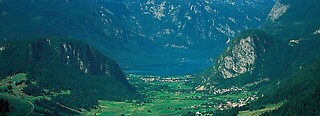 Bohinj